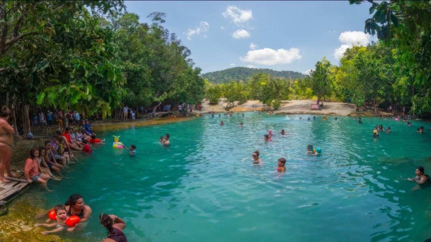Baignade dans les eaux turquoise de l'Emerald Pool, au cœur de la forêt de Krabi