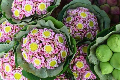Lotus pliés et boutons frais, la signature des marchés aux fleurs thaïlandais