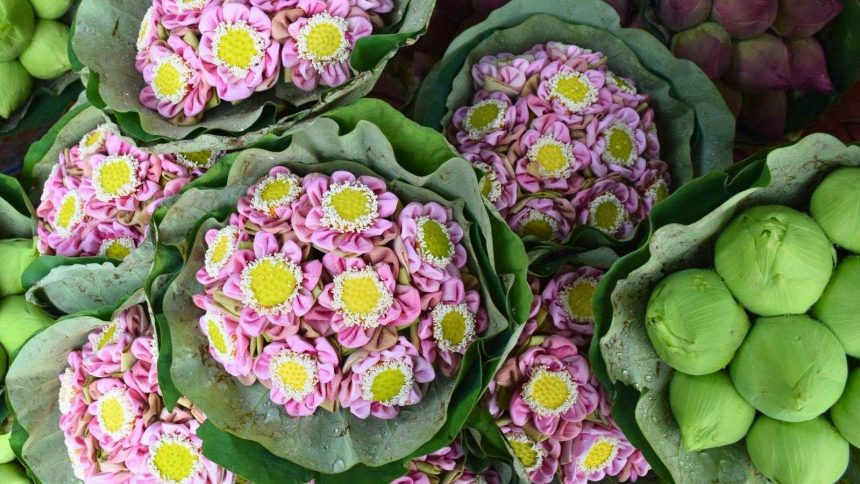 Lotus pliés et boutons frais, la signature des marchés aux fleurs thaïlandais