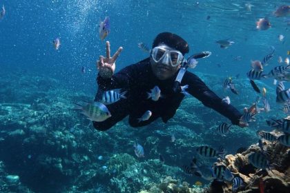 Snorkeling au milieu des bancs de poissons dans l'archipel de Ko Phi Phi