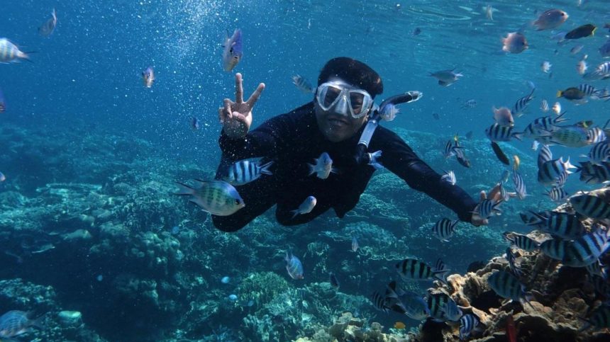 Snorkeling au milieu des bancs de poissons dans l'archipel de Ko Phi Phi