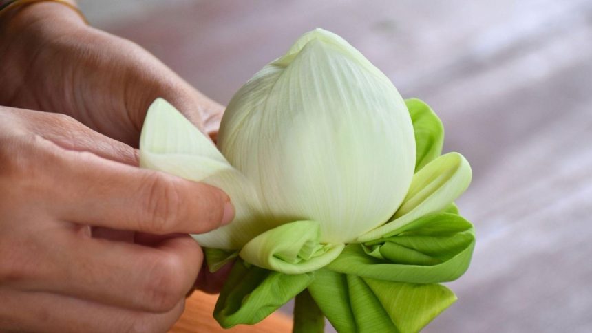 Pliage traditionnel des pétales de lotus, un art du geste cousin de la sculpture sur fruits